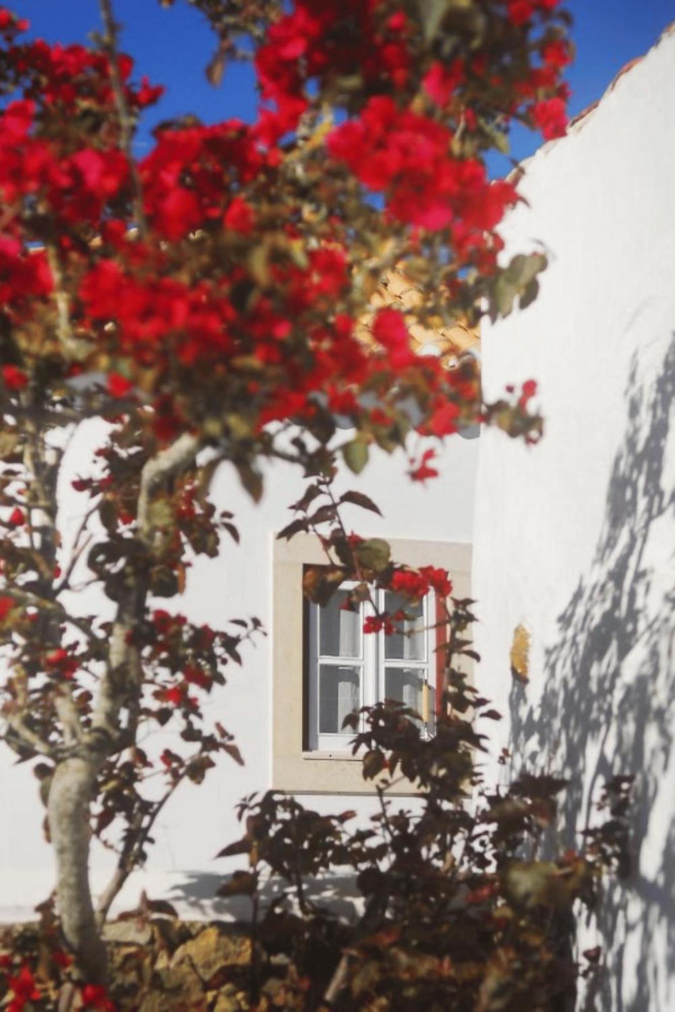 Casas Da Tia Alice - Casas De Campo Encantadoras Em Mafra Kültér fotó