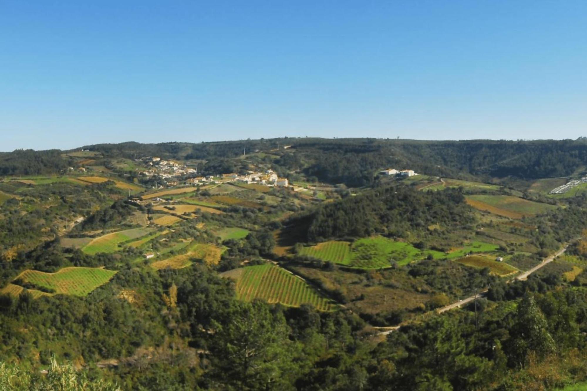 Casas Da Tia Alice - Casas De Campo Encantadoras Em Mafra Kültér fotó